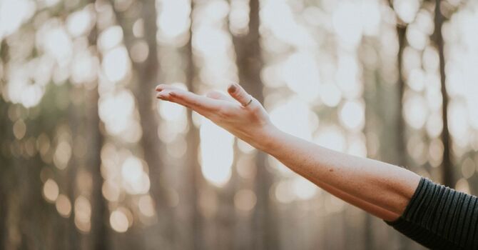 Musculoskeletal Treatments